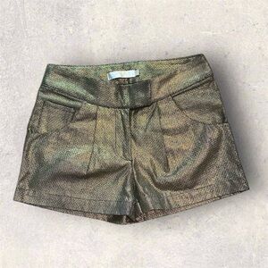 Charley 5.0 Boutique Metallic Gold and Black Women's Shorts- Size 25